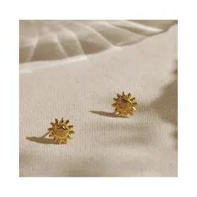 Женские серьги Radiant 1 cm